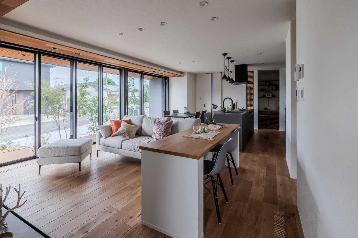 LIVING & COUNTER :